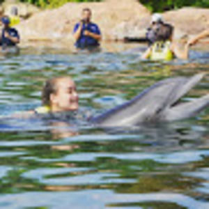 Meet your Posher, Lia